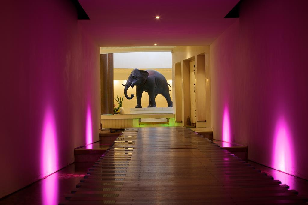 Seaham Hall And Serenity Spa Екстер'єр фото